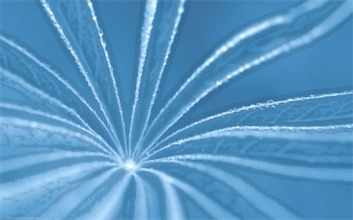 通州哪里免费钓鱼，通州哪里有钓鱼的地方啊
