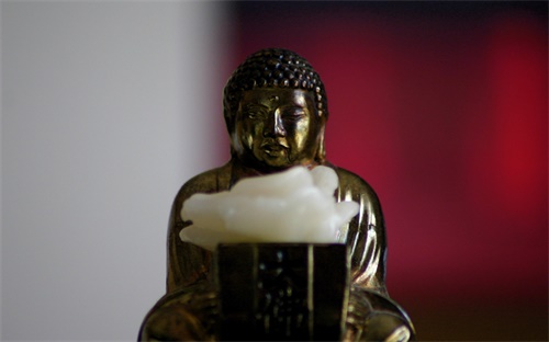 鲤鱼为什么不好钓，有个垂钓圆放的都是鲤鱼框净为什么我钓不到鱼特别不