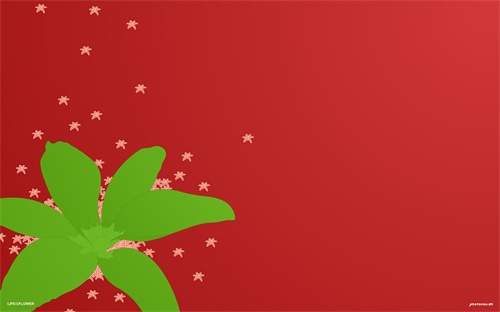 达瓦黑棍银哪个好，达瓦黑刚和烈风怎么样